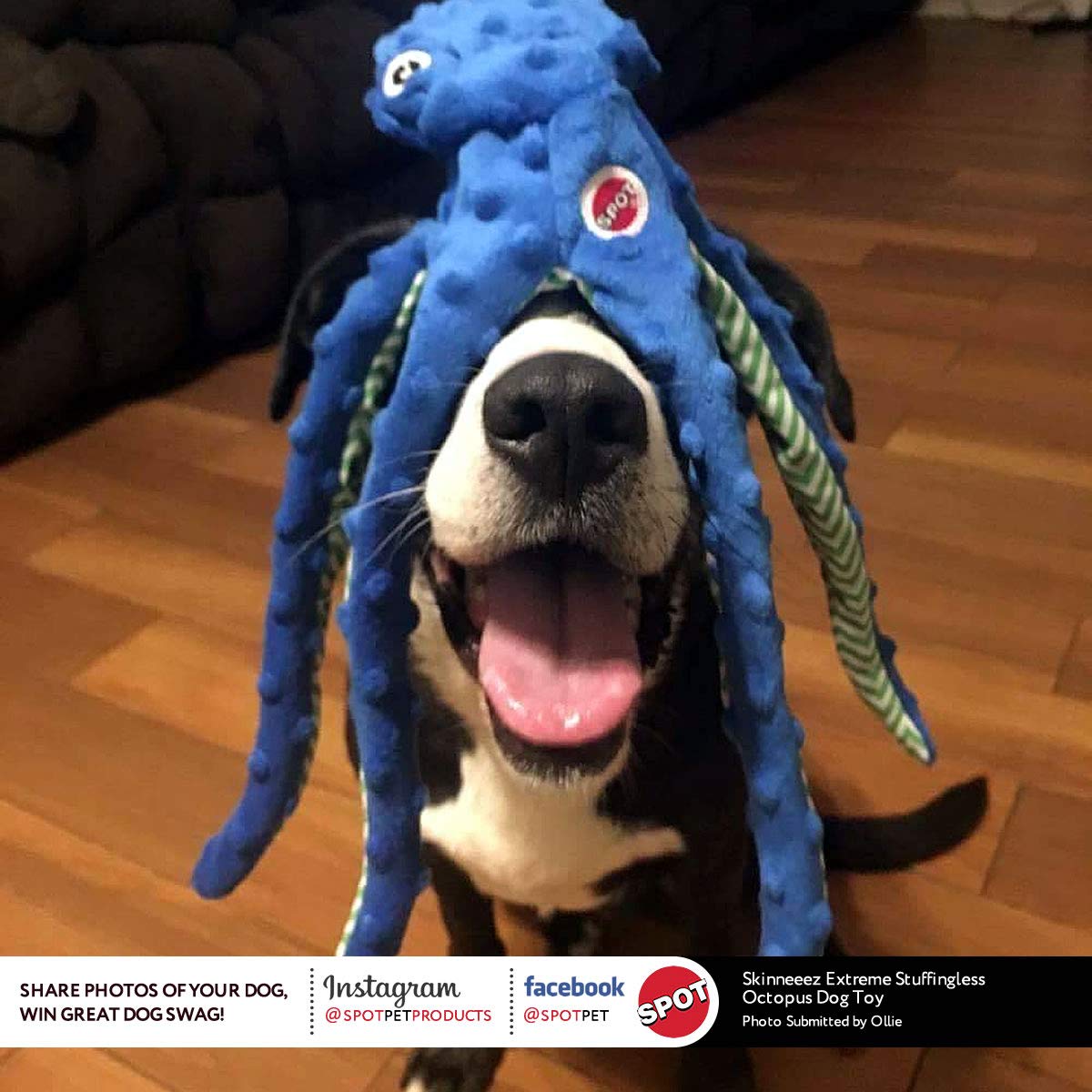SPOT Skinneeez Extreme Octopus Dog Toy - 16    Stuffing-Free Plush Toy for Small/Medium Dogs with Squeaker - Great for Puppies &