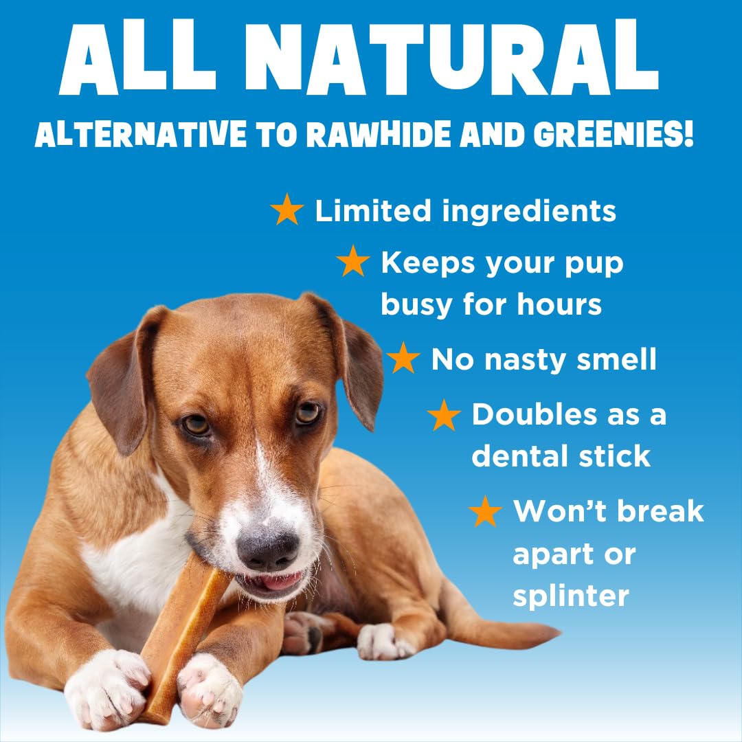 Dinovite YakoSnaks Himalayan Yak Cheese Himalayan Dog Chews, Long Lasting Yak Chews for Dogs, Low Odor Himalayan Dog Chews, Natu