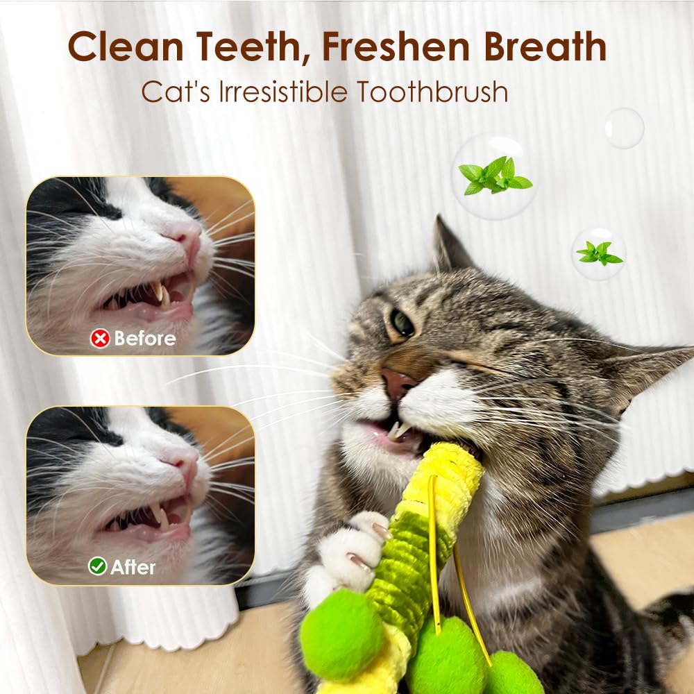 3 Pack Silvervine Sticks For Cats With Feather And Plush Ball,Creative Toy To Kill Time And Keep Fit Interactive ,Dental Toy For