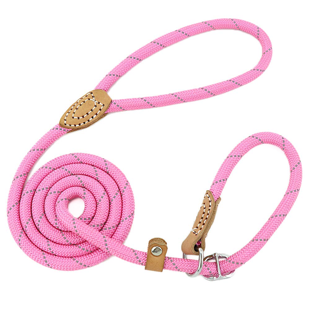 Grand Line Slip Lead Dog Leash, 5Ft Reflective Slip Rope, Puppy Training Walking Controlling Lead, Slip Collar Pet Leash For Small, Medium, Large Dogs (Pink, Medium-2/5In X 5Ft)