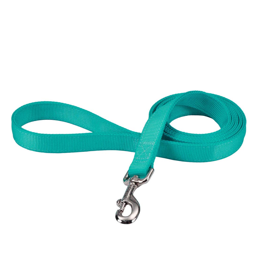 Coastal Pet Double-Ply Dog Leash - Bolt Snap Attachment To Collars And Harnesses - Nylon Dog Walking Leash For Small, Medium And Large Dogs - Teal - 1' X 6'