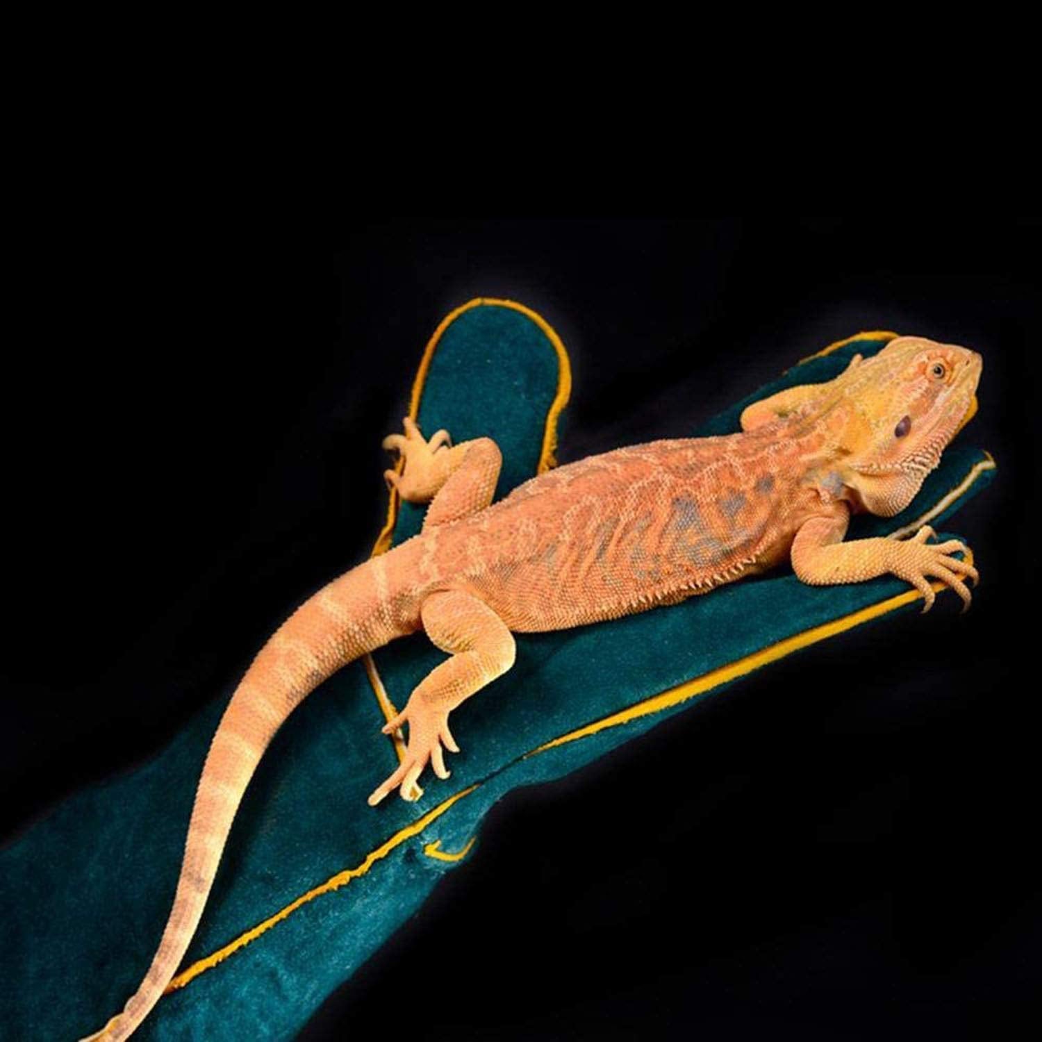 Pesandy Animal Handling Gloves Bite Proof, 60Cm Durable Bite Resistant Gloves For Bathing,Grooming,Welding, Handling Dog/Cat/Bird/Snake/Parrot/Lizard/Reptile- Scratch/Bite Resistant Protection Gloves