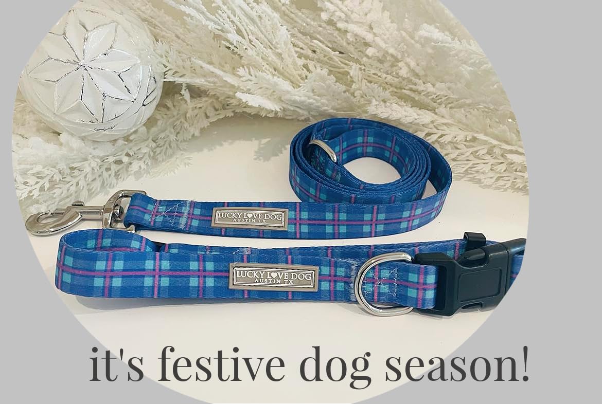 Lucky Love Dog, Blue & Violet Plaid Dog Leash - Comfy & Soft, Cute For Boy & Girl Dogs - Large, Scotty Leash