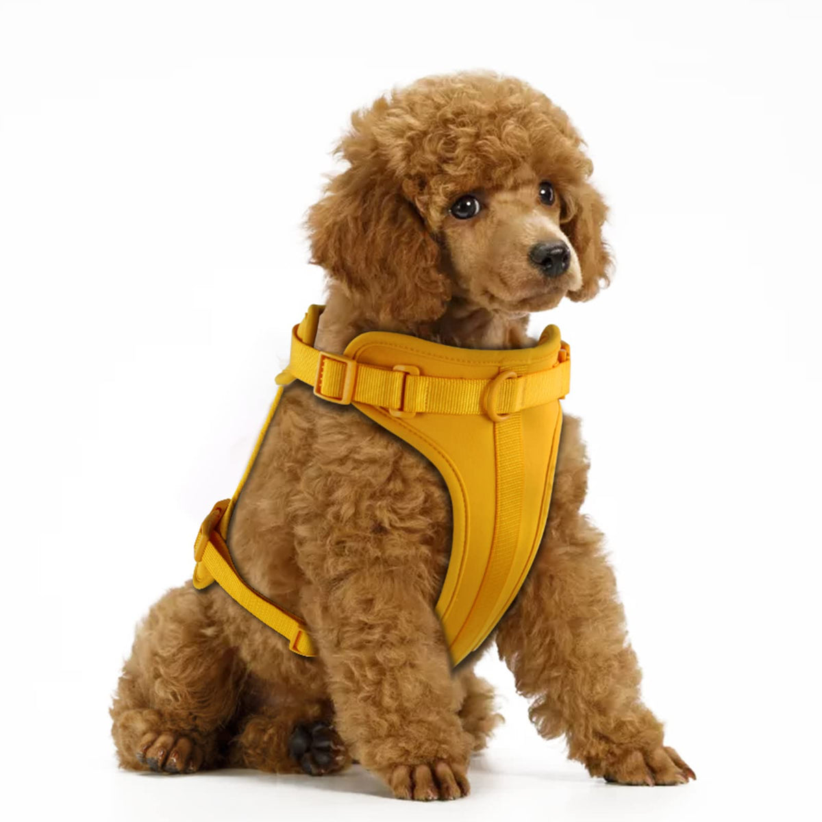 No Pull Lightweight Dog Harness: Adjustable Durable Breathable Mesh Pet Vest Harness With Soft And Comfortable Cushion, Easy To Clean, For Small Medium Large Dogs (Xs, Daylily Yellow)