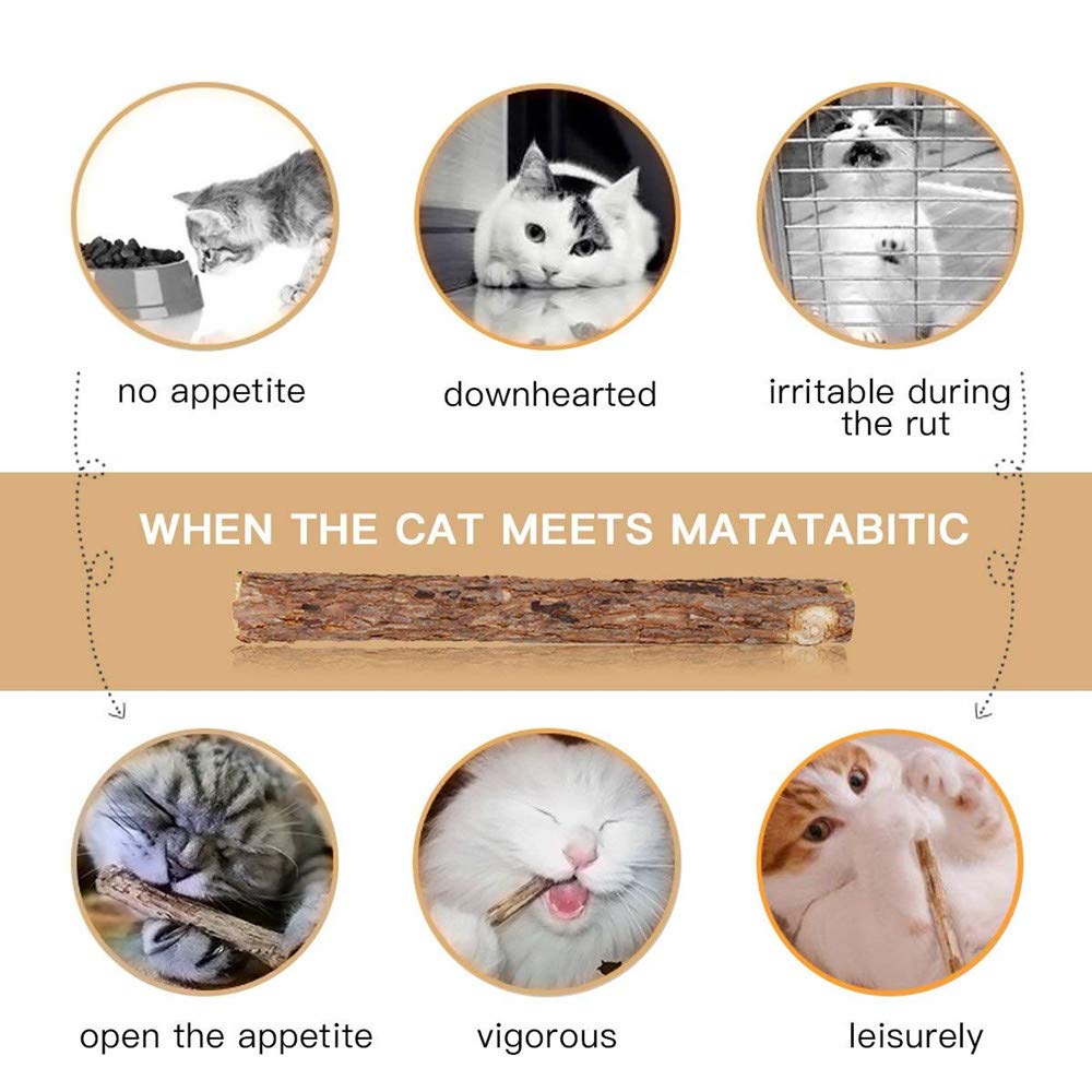Wolover 20 Pcs Cat Catnip Sticks Natural Matatabi Silvervine Sticks - Cleaning Teeth Molar Tools Kitten Chew Toy Natural Catnip