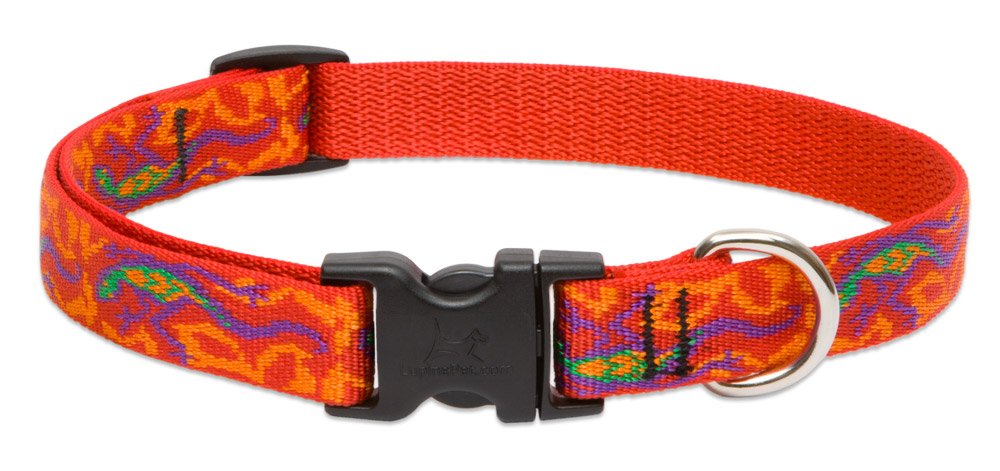 LupinePet Originals 3/4&quot; Go Go Gecko 13-22&quot; Adjustable Collar for Medium and Larger Dogs