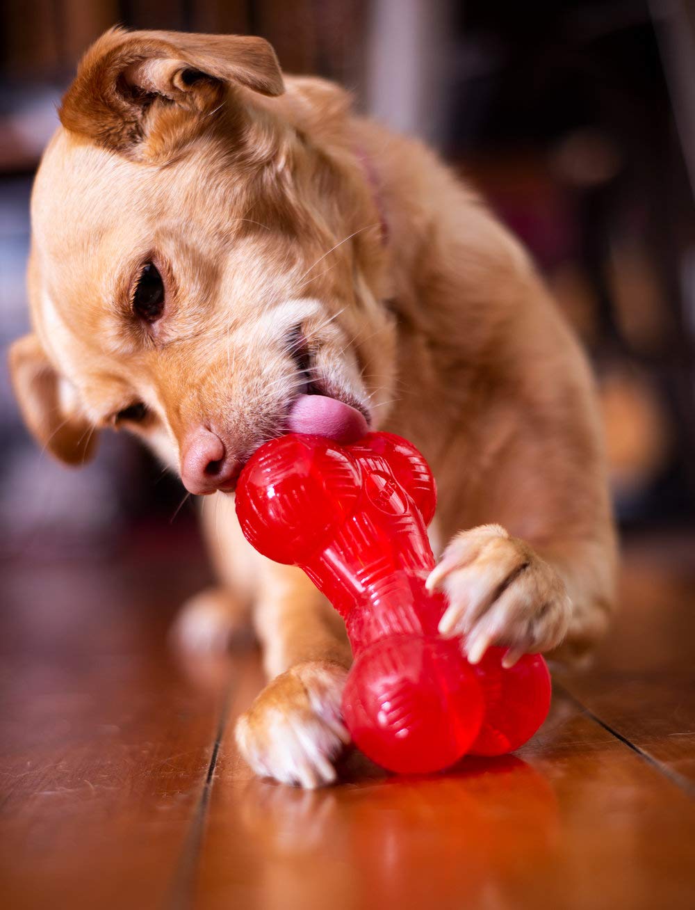 SPOT by Ethical Products Play Strong Bones Chew Toys and Ball Toys for Dogs - Great for Aggressive Chewers and Puppies - Ball -