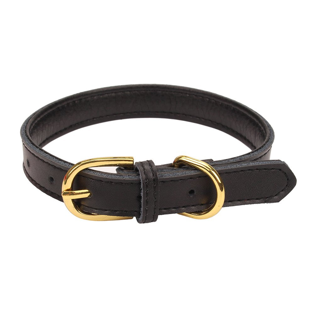 Aolove Basic Classic Padded Leather Pet Collars For Cats Puppy Small Medium Dogs (Large, Black)