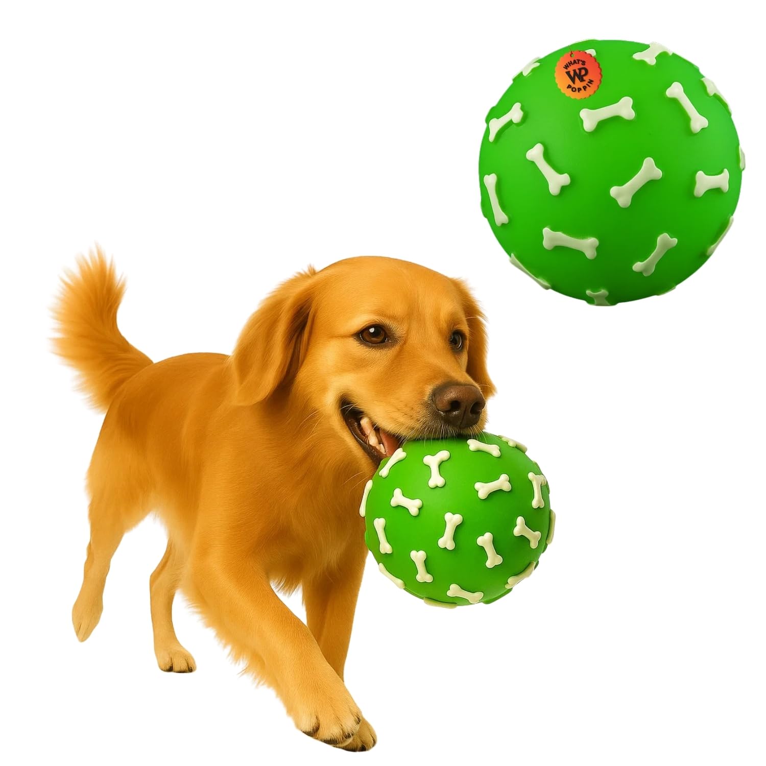 What Poppin Bone Print Squeaky Dog Ball Toy | Durable Rubber Interactive Fetch Ball for Dogs & Puppies | Textured Gum Massaging 