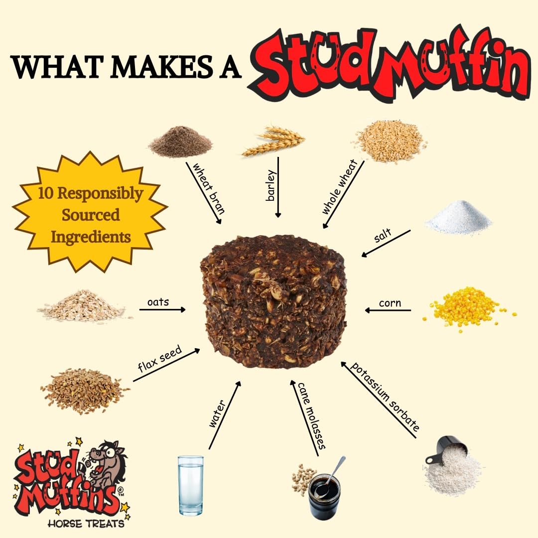 Stud Muffins 1045/1030 Stud Muffins Horse Treat, 45 Oz