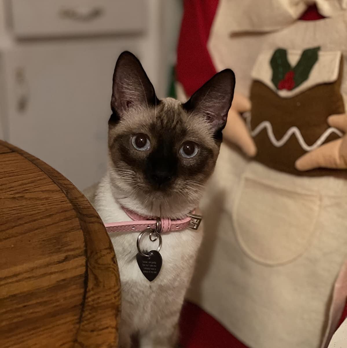 Pupteck 2 Pcs Soft Leather Cat Kitten Collar With Bells Adjustable For Girl Boy Cats Puppy - Pink, Blue