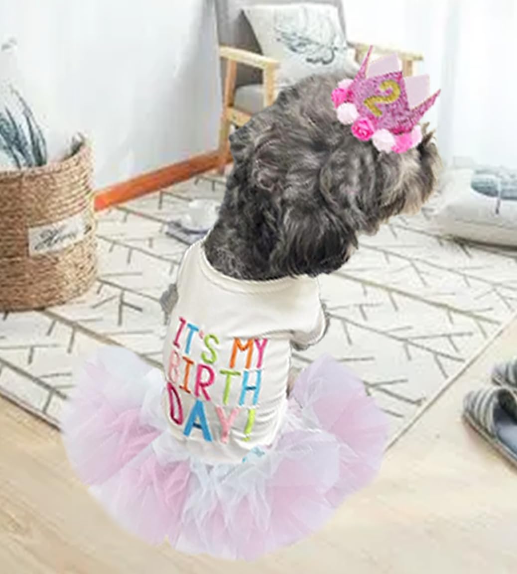 Aniac Dog Birthday Dress And Hat Set Puppy Lace Tutu Pink Pet Crown Hat With 0-9 Figures Birthday Outfit For Cats Small Dog (Whi