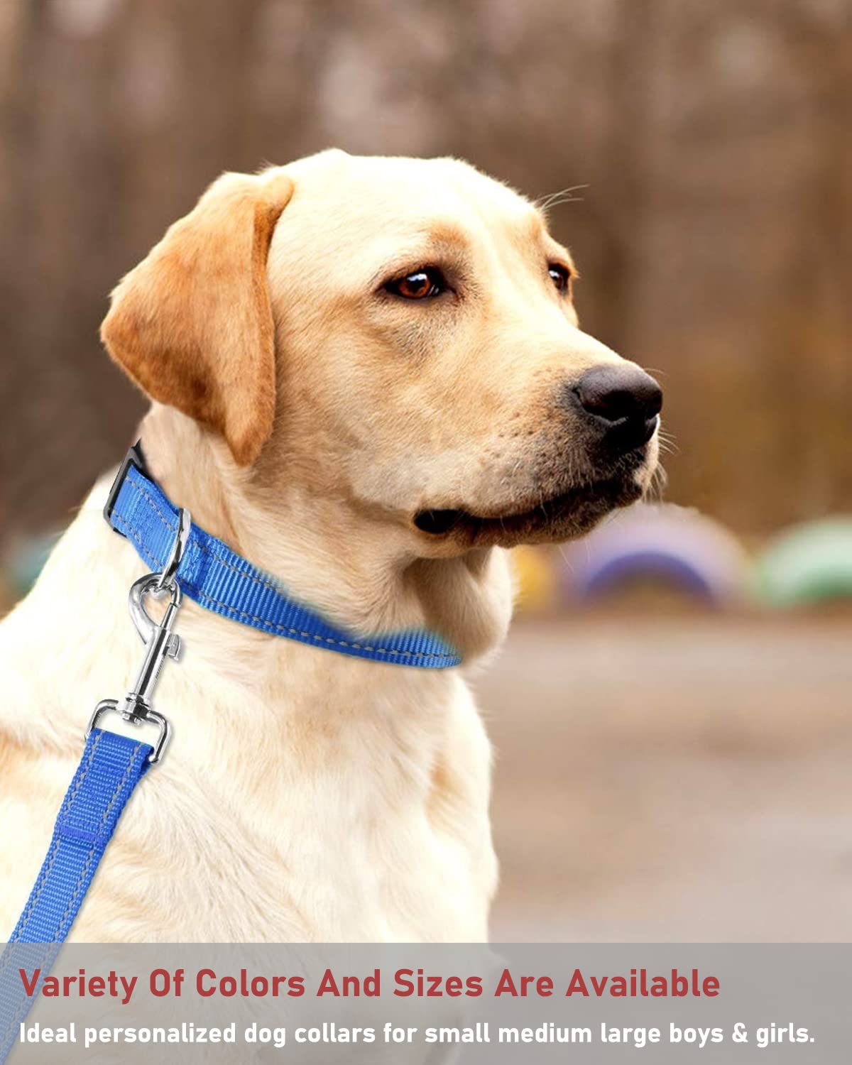 Reflective Dog Collar With Buckle Adjustable Safety Nylon Collars For Small Medium Large Dogs, Navy Blue Xs