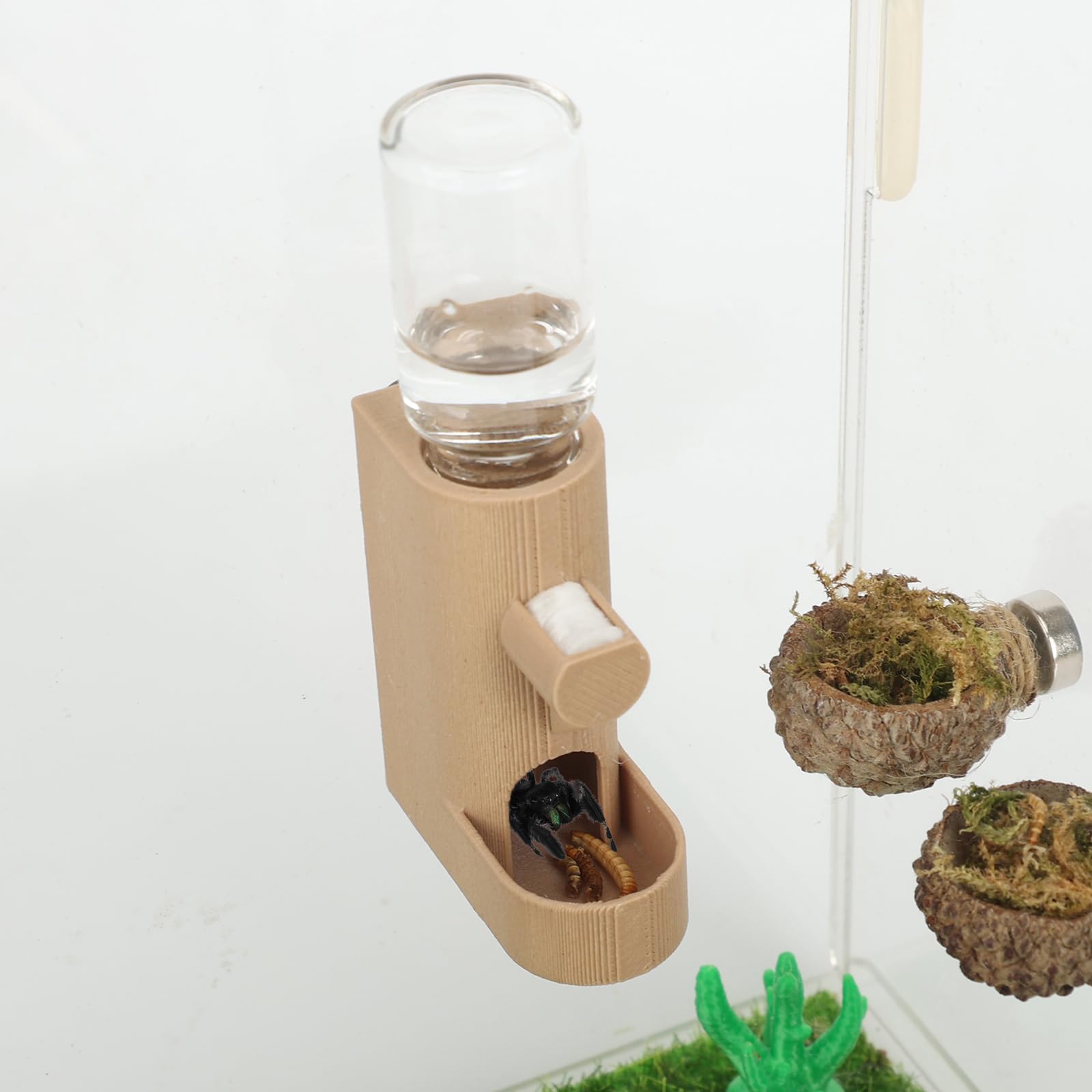 Daerky Small Animal Water Feeder, Magnetic Hanging Feeder & Hidden Cave - Accessories For Jumping Spiders, Wolf Spiders, Mantise