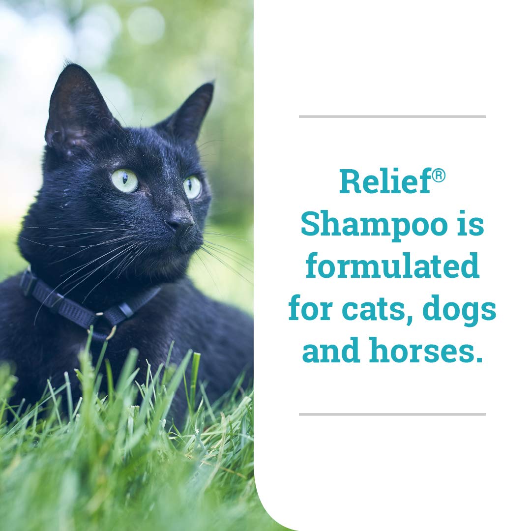 Elanco Relief Shampoo, temporary relief of itching and flaking, moisturizer for dry skin and coat, for dogs, cats and horses, 8