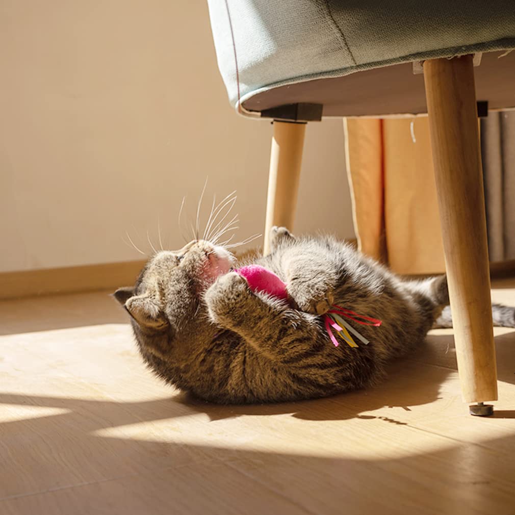 ZeyZoo 5Pcs Catnip Toy, Cat nip Pink Fish Interactive Cat Toy, Kitten Toys Catnip Filled Plush Toys, Feather Teaser Accessories