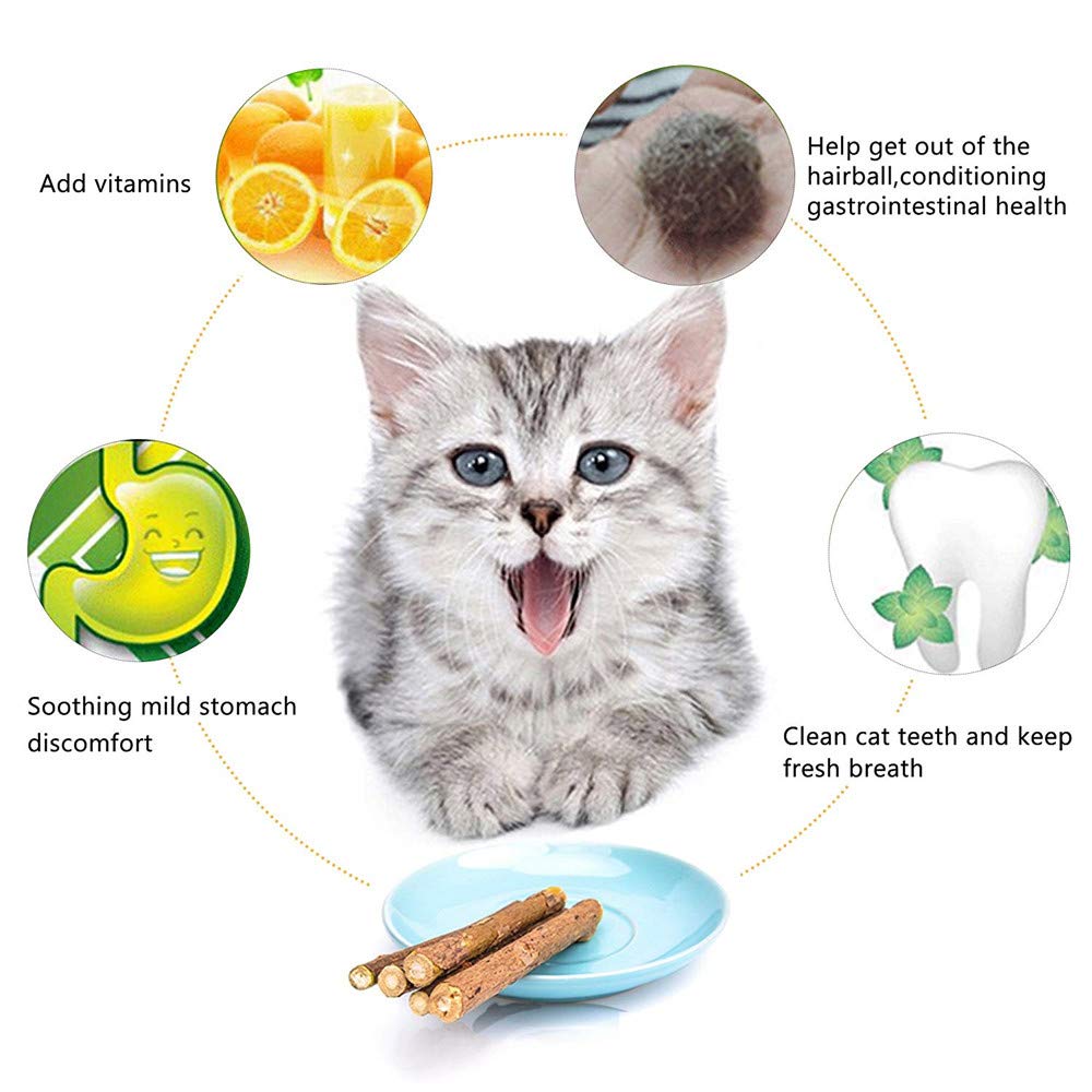 Wolover Silvervine Sticks For Cats, Natural Catnip Sticks Matatabi Chew Sticks Teeth Molar Chew Toys For Cat Kitten Kitty (At Le