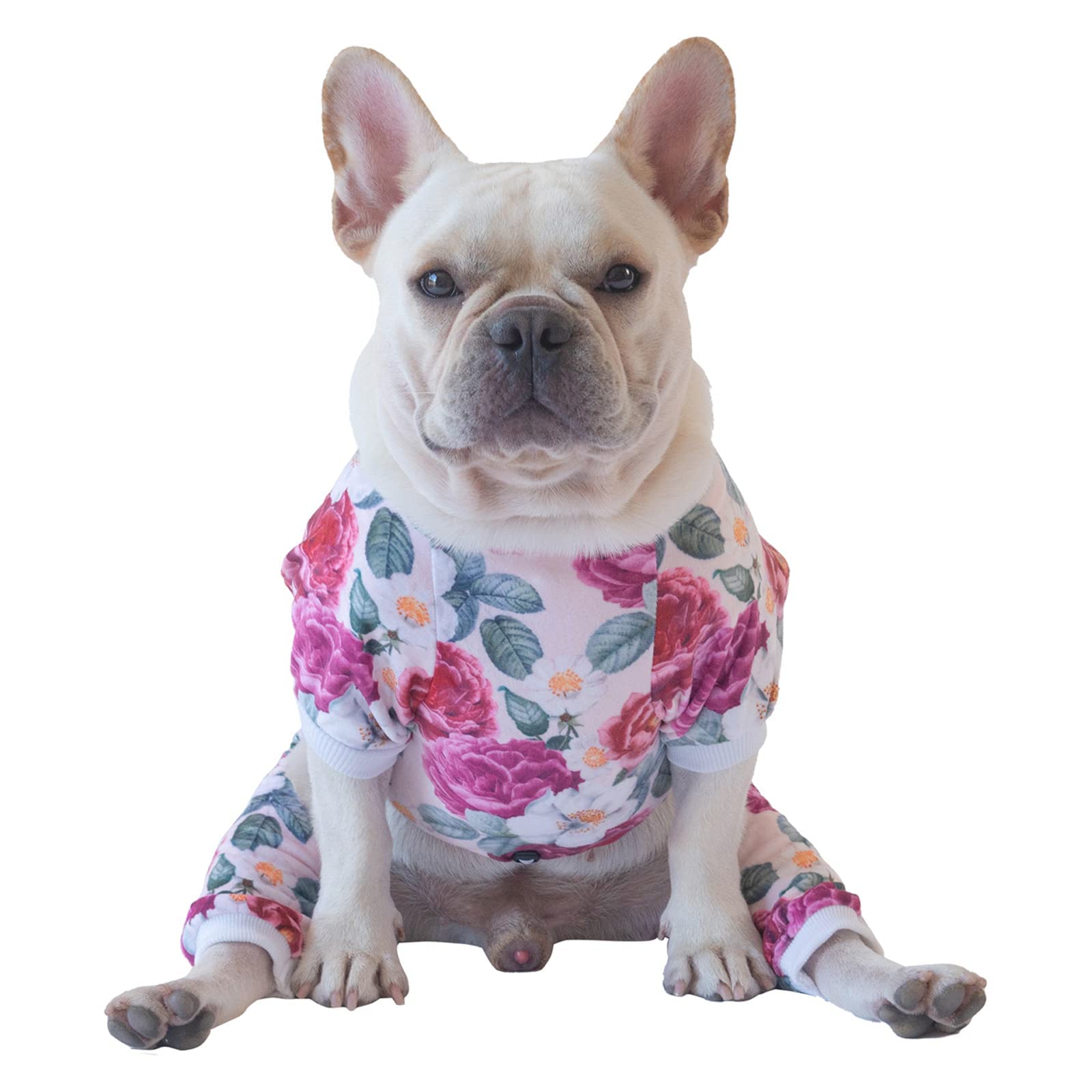 Cutebone Dog Pajamas Flower Puppy Clothes Soft Pjs Birthday Outfit Girl P178L Large