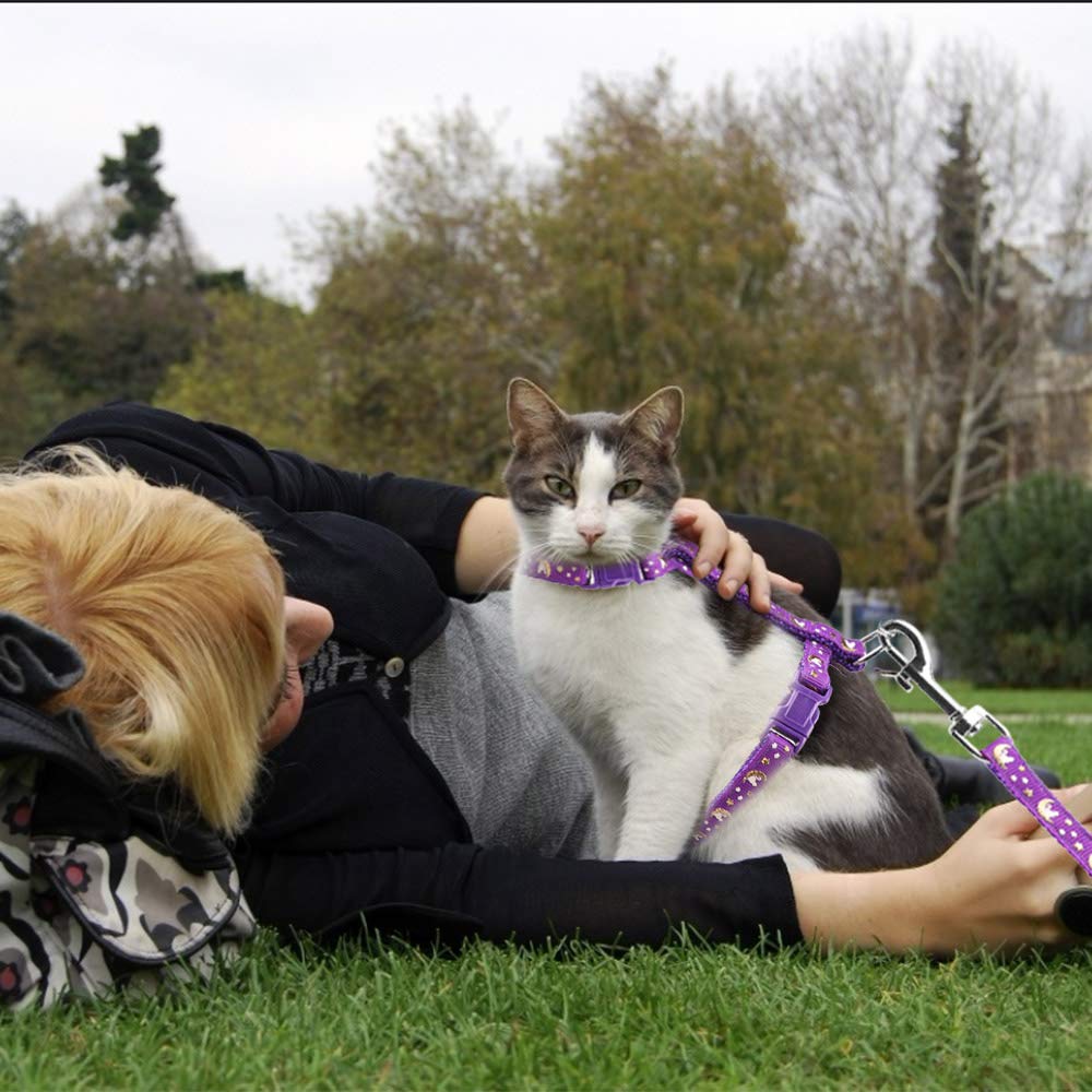 Cat Harness And Leash Set Gold Moons Soft Nylon Escape Proof Adjustable For Kittens Small Animals Glow In The Dark(Purple)