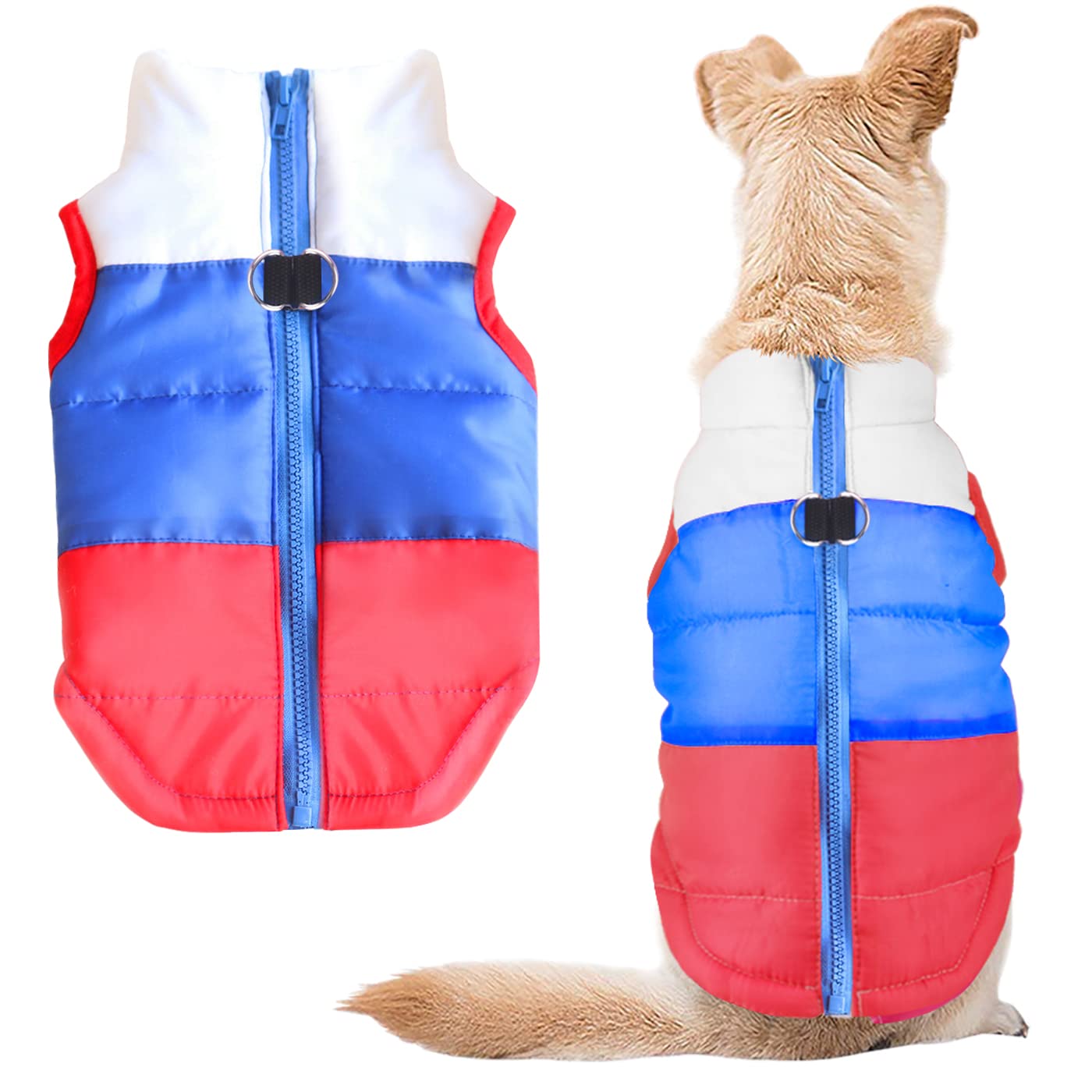 Idepet Pet Dog Cat Coat With Leash Anchor Color Patchwork Padded Puppy Vest Jacket Teddy Chihuahua Costumes Pug Cloth Xs S M L (Small, Red)