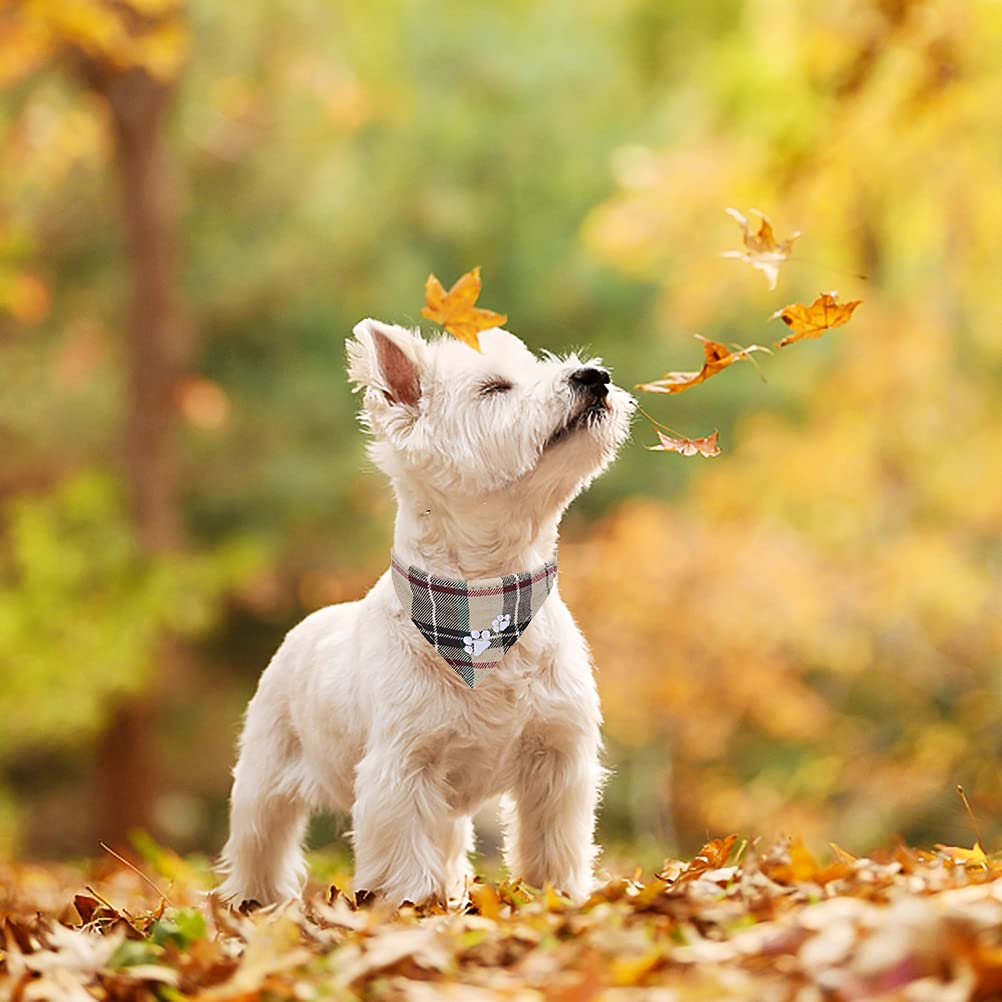 Expawlorer Dog Collar And Leash Set - Embroidered Pawprints Plaid With Bow Tie And Bandana, Adorable For Dogs Cats Outdoor Walki