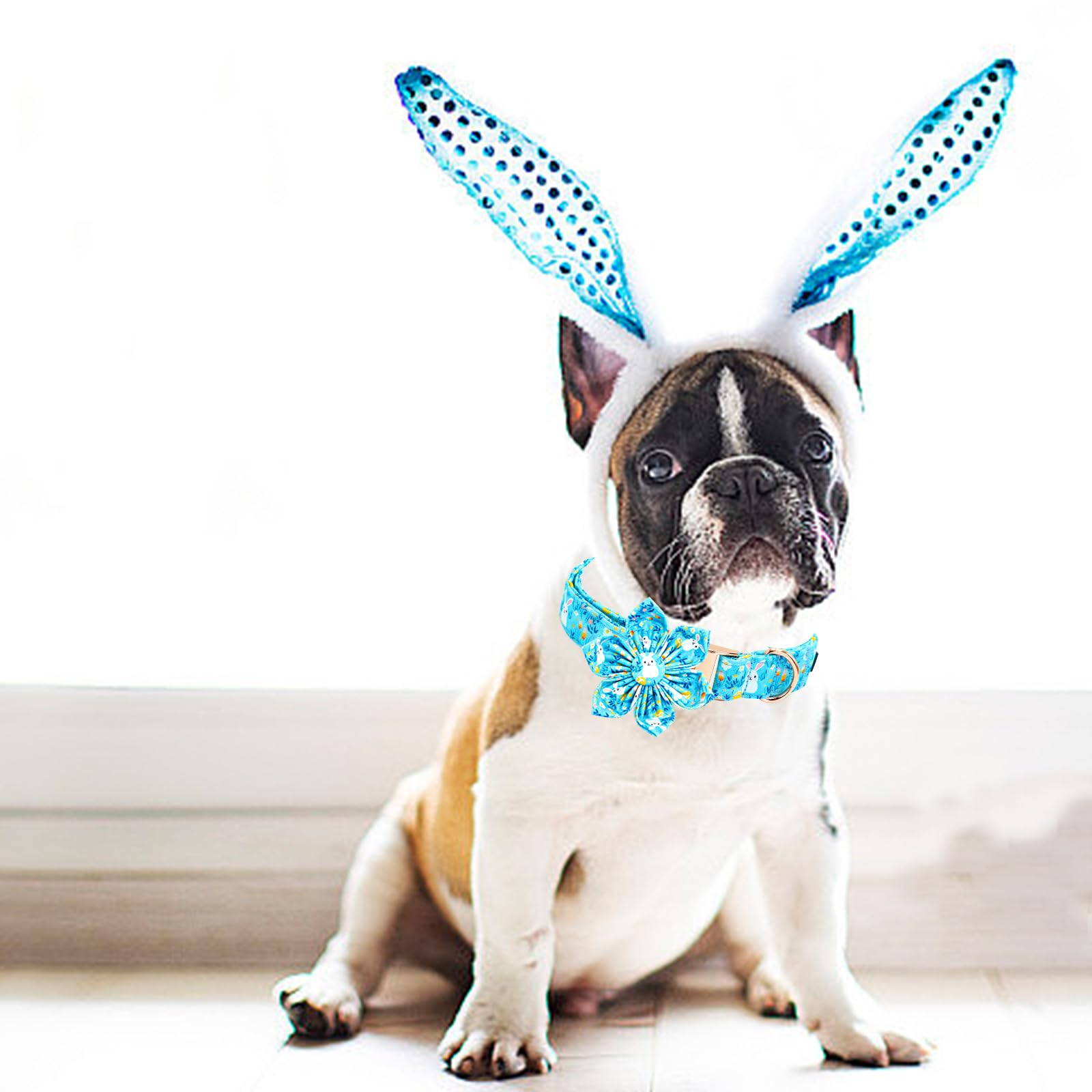 Lionheart Glory Easter Day Dog Collar With Flower Dog Collar For Medium Dogs, Easter Rabbits Colorful Dog Flower Collars Spring