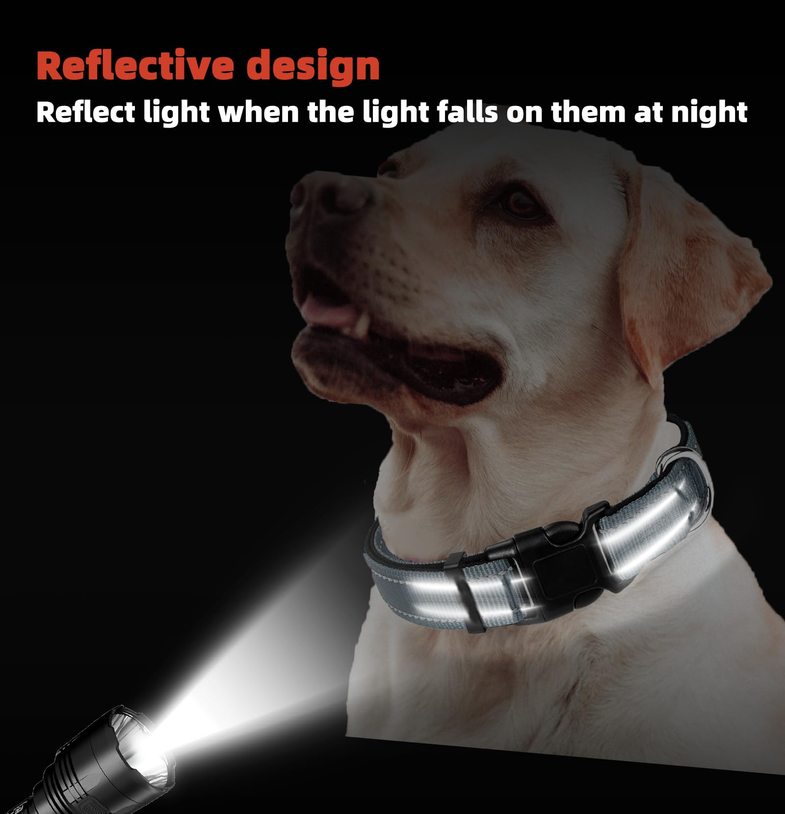 Grey Dog Collar, Reflective Pet Collar with Buckle Adjustable Safety Nylon Collars for Small Medium Large Dogs, M