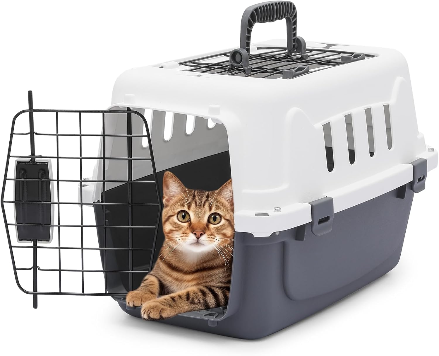 Athena Collection 18 Hard-Sided Travel Pet Carrier for Small Dogs and Cats, Plastic Dog Carriers with 2-Door Top & Front Load & 