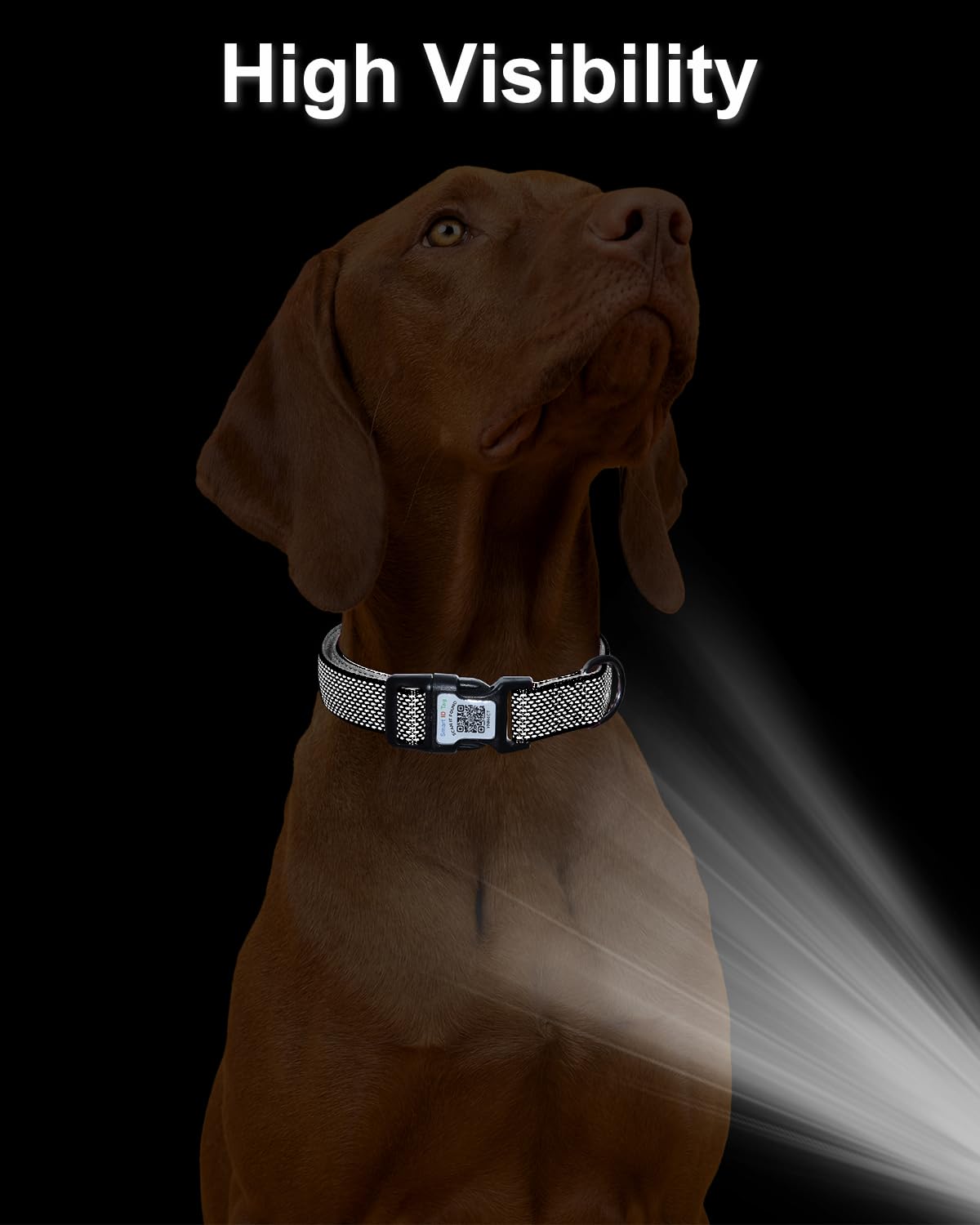 Whoseid Reflective Dog Collar With Airtag Holder,Adjustable Dog Collar With Neoprene Padded & Anti-Lost Qr Code Buckle (Black, S