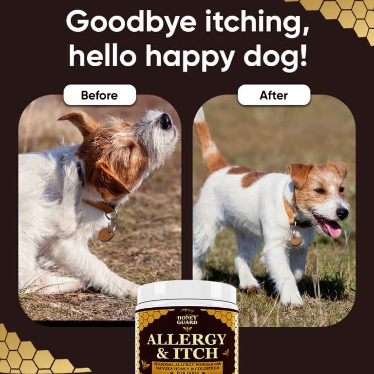iHeartDogs Honey Guard Allergy & Itch Omega-3-6-9 Powder for Dogs Extra Strength with Manuka Honey, Quercetin, Colostrum, Kelp,