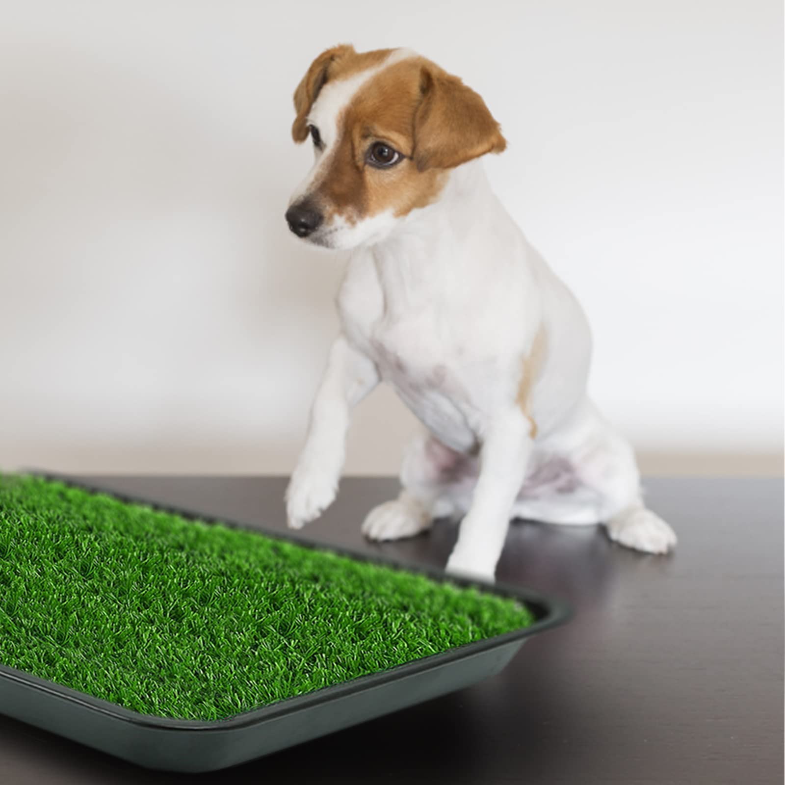 Embellbatt Dog Grass Pad With Tray, Dog Potty Grass For Puppy Training, Artificial Fake Grass For Dogs To Pee On Indoor Outdoor