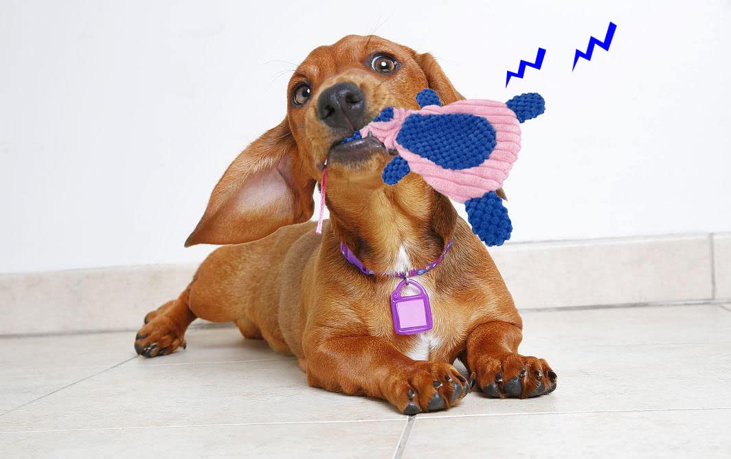 Comtim No Stuffing Crinkle Dog Toys 2 Pack Durable Dog Chew Toys Unstuffed Squeaky Dog Toys For Small Dogs And Puppies