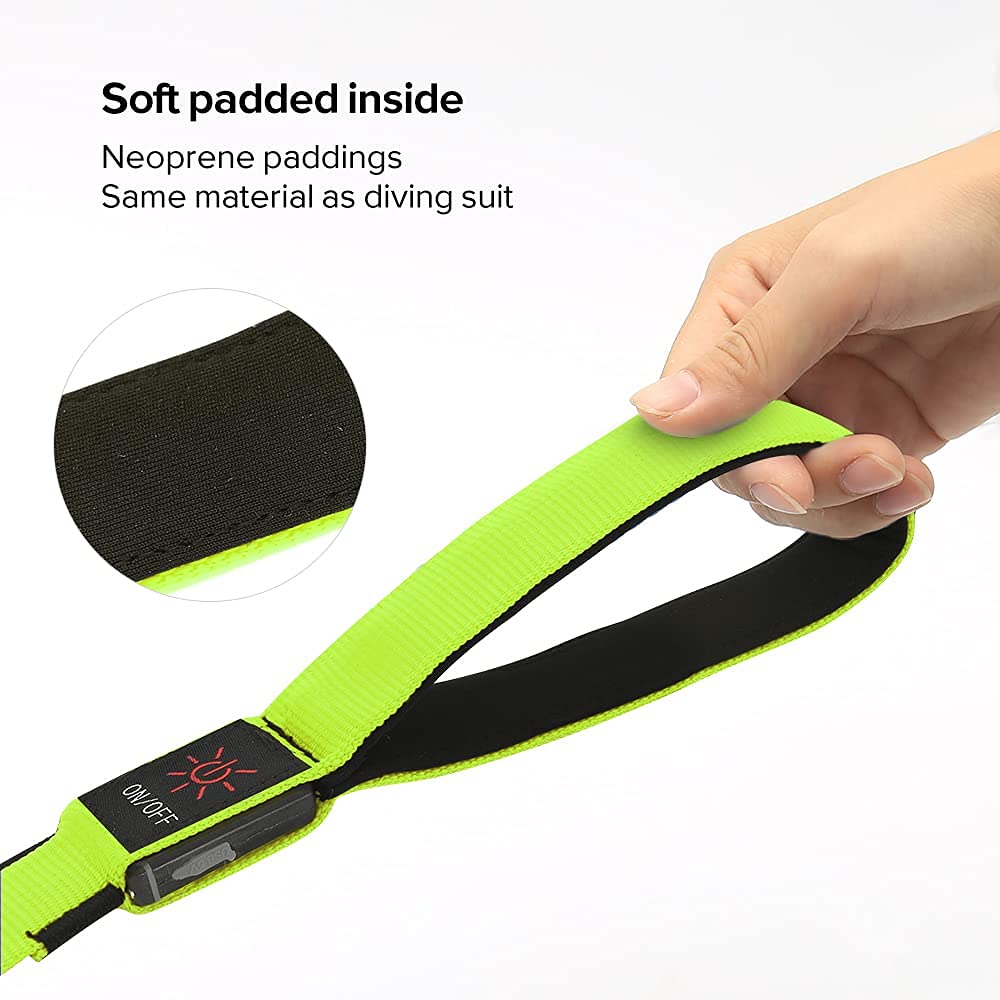 Colaseeme Led Dog Leash Light Up Dog Leash 4 Feet Micro Usb Rechargeable Nylon Webbing Glow Safety Standard Dog Leash For Dogs (Green)