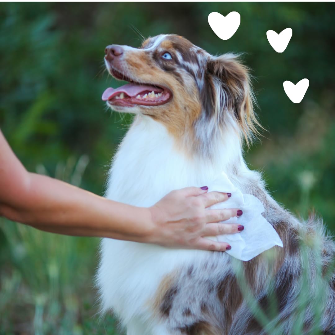 Earthbath, Hypo-Allergenic Facial Wipes - Gentle Tear Stain Dog Wipes, No Rinse Formula, Best Pet Wipes For Dogs & Cats, Made In