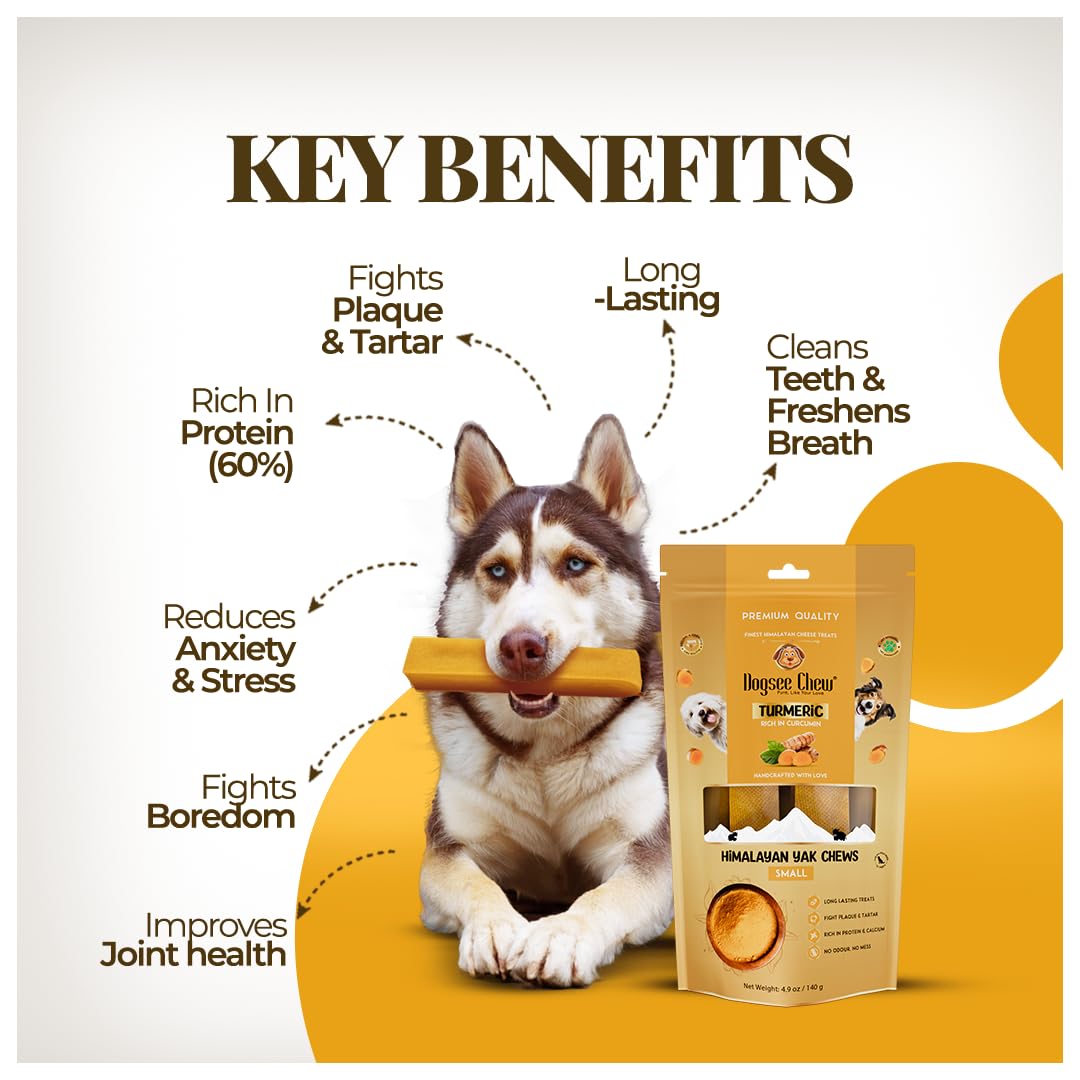 Dogsee Himalayan Yak Cheese Dog Chews with Turmeric/Curcumin (Medium - 6Chew) | Long Lasting | Anti-inflammatory | Fights Plaque