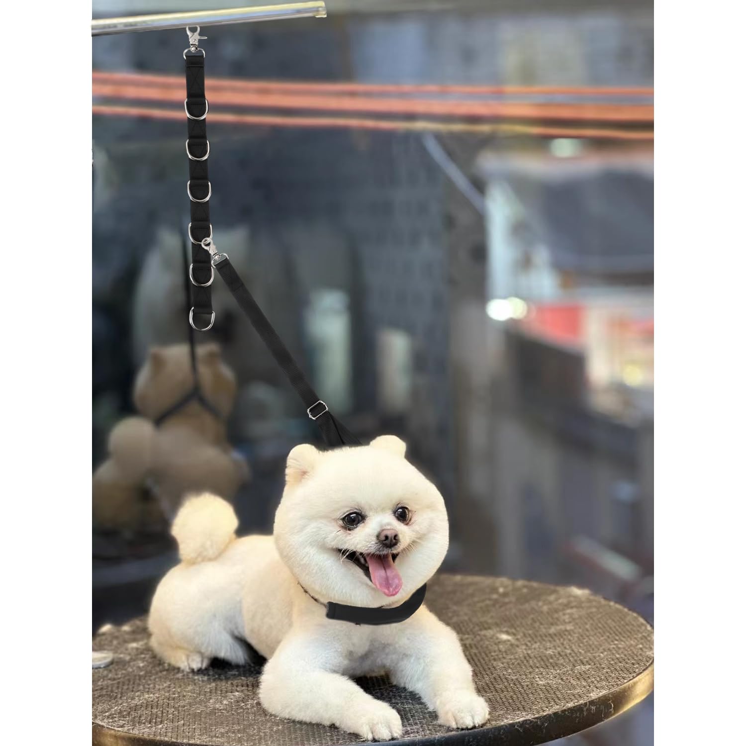 Dog Grooming Loops Supplies Pet Dog Grooming Belly Straps Belly Band Black Solf Comfrotable & Adjustable Grooming Tools for Groo