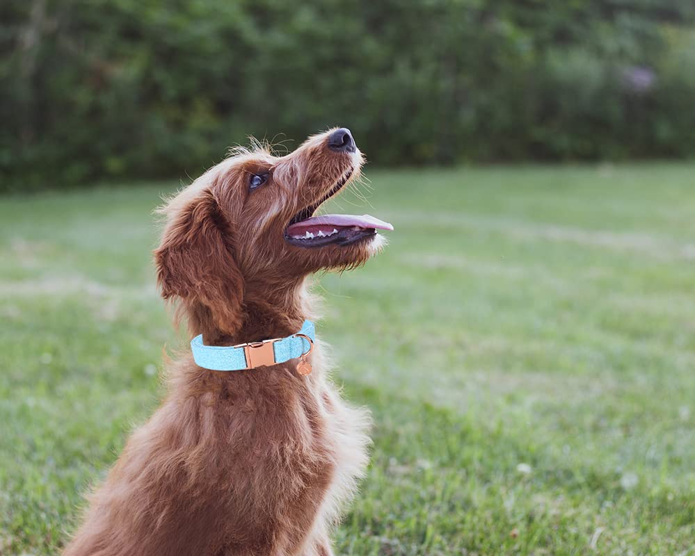 Dogwong Cotton Dog Collar And Leash, Blue Pet Collar Soft Durable Puppy Collar Leash For Small Medium Large Dogs