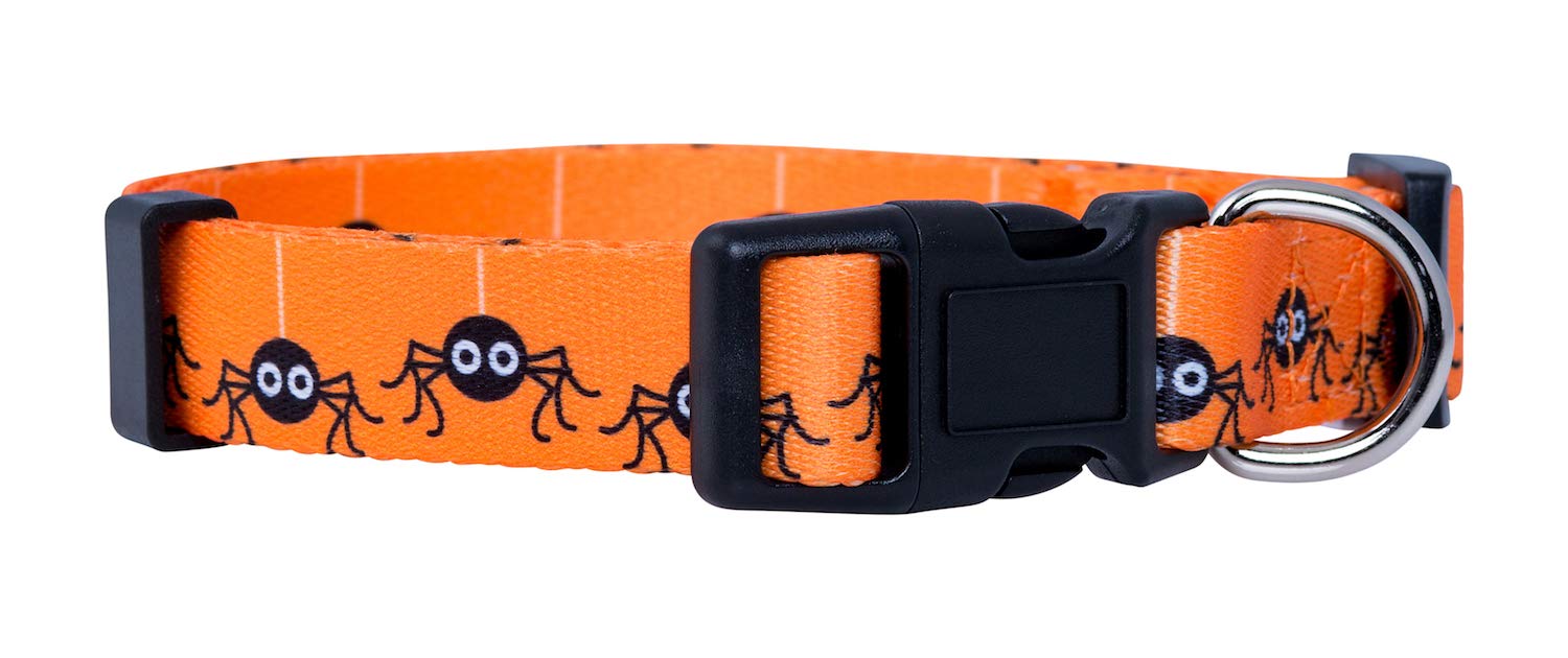 Native Pup Halloween Dog Collar (Medium, Spiders)
