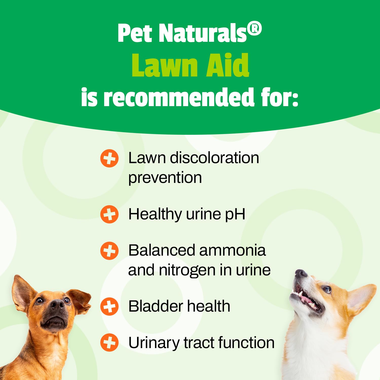 Pet Naturals Lawn Aid Dog Urine Neutralizer for Lawn - 60 Chicken-Flavored Chews - Healthy Dog Treats for PH Balance in Urine Ma