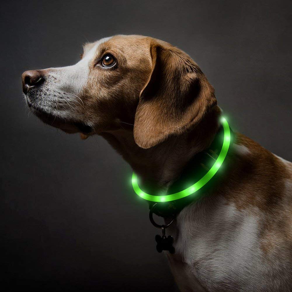 Bseen Light Up Dog Collars - Silicone Led Dog Collar, Cuttable Lighted Puppy Collar, Glowing Dog Walking Lights For Small Medium Large Collars (Green)