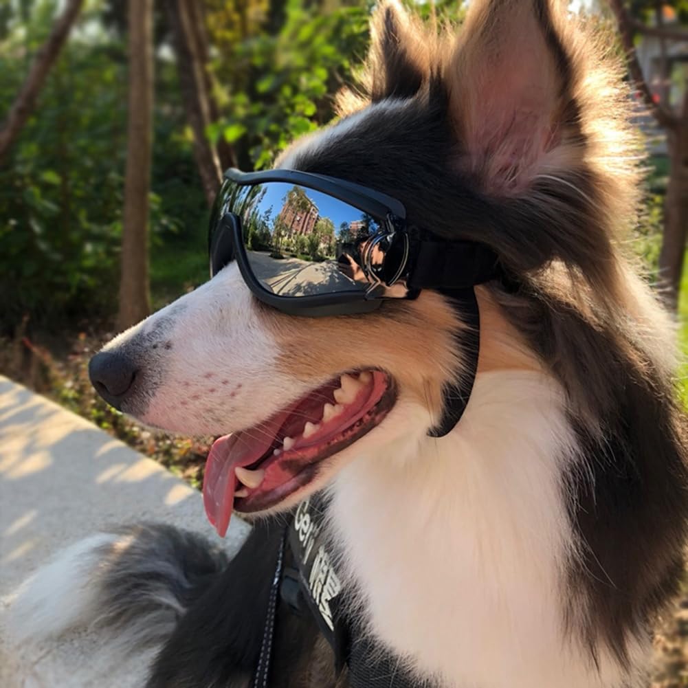 UV Protection Dog Goggles for Medium & Large Dogs - Waterproof Windproof Sunglasses, Durable Protective Eyewear for Long-Snout B