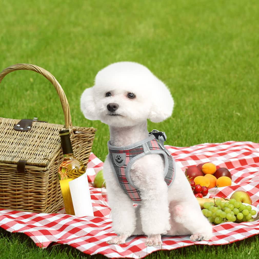 Expawlorer Classic Plaid Puppy Harness - Small Dog Collar And Leash - Soft Mesh Padded Adjustable Small Dog Vest Harness No Pull, Reflective Escape Proof For Outdoor Walking