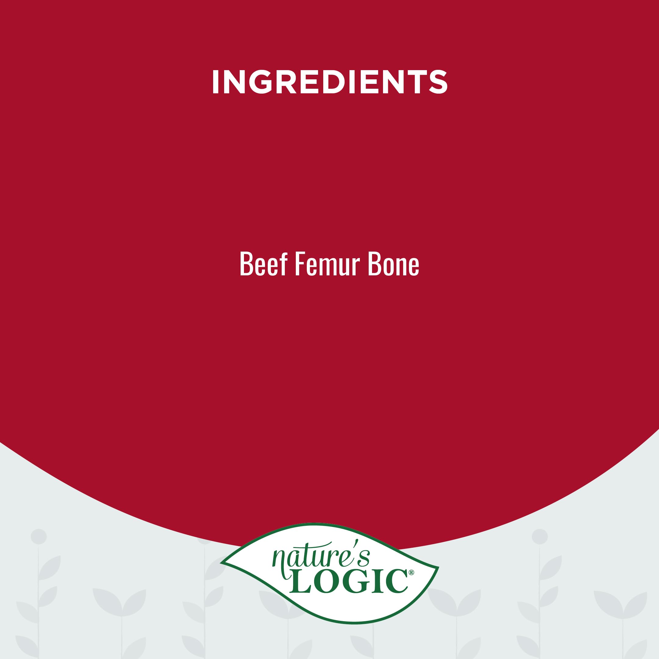 Natures Logic Beef Femur Slices Canine Chew