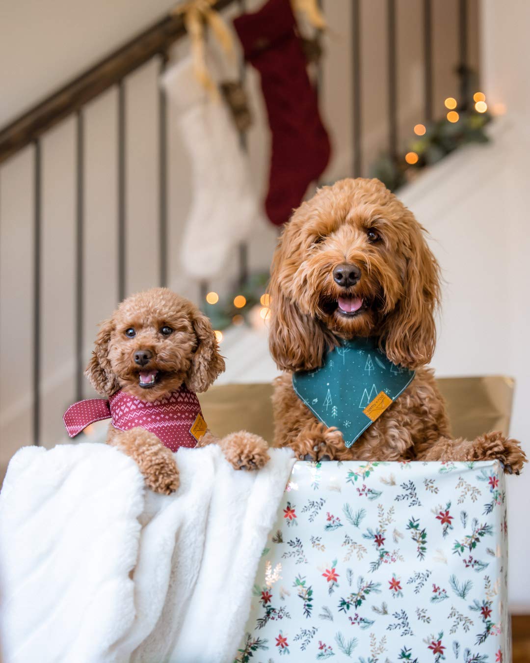 Remy+Roo Dog Bandanas - 2 Pack | Evergreen Christmas Dog Bandanas Set | Premium Durable Fabric | Patented Shape Bandanas For Dogs| Adjustable Fit Dog Christmas Bandana | Multiple Sizes Offered (Large)