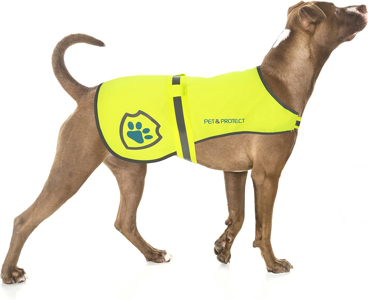 Reflective Dog Coat For Safety – Ideal Dog Vest For High-Visibility When Walking, Jogging Or Training – Sizes To Fit Small, Medium, Large Breeds 16-130 Lbs (Medium)