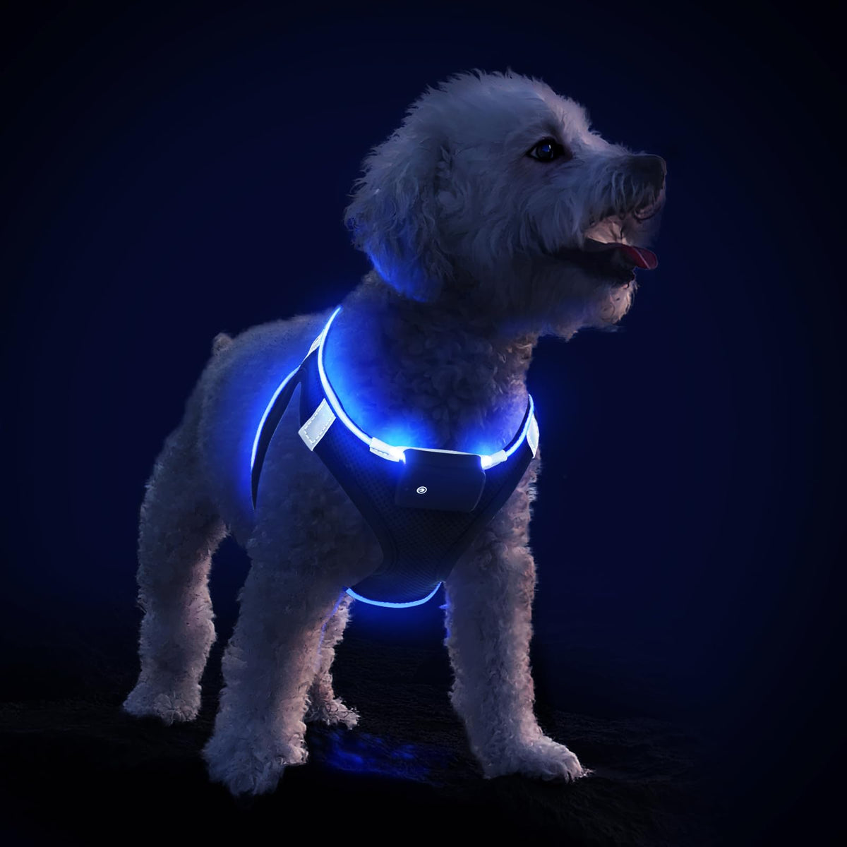 Pceotllar Led Dog Harness For Puppy To Medium Dogs, Rechargeable No-Pull Reflective Flashing Light Harness For Night Walking (Bl