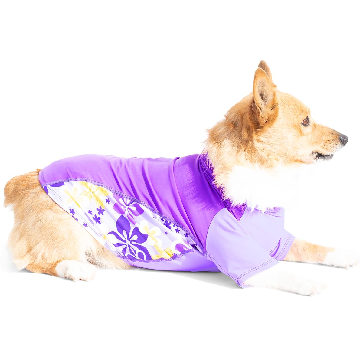 Playapup Dog Sun Shirt, Usa Made (Upf 50+), Uva, X-Small