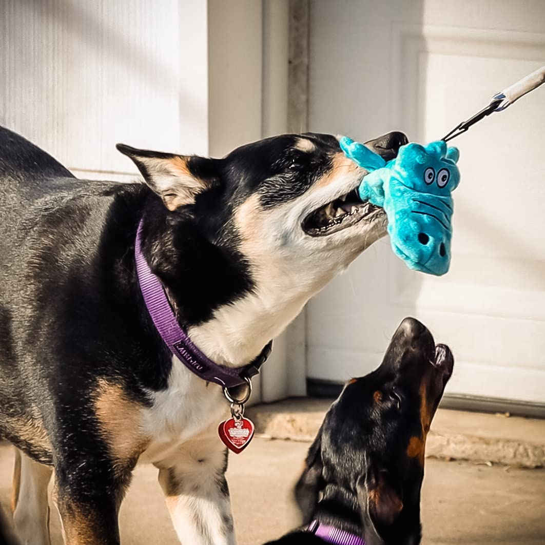 Pet Fit For Life Dog Wand Toy - 31" Extra Long Pole, Plush Alligator, Blue, Soft Foam Handle for Tug of War & Interactive Fun