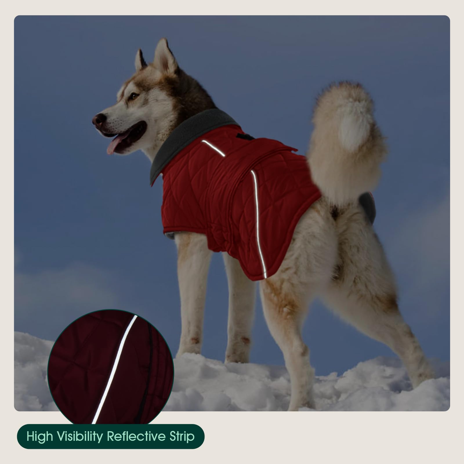 Kuoser Extra Warm Dog Coat, Windproof Cold Weather Jacket for Small Dogs, Fleece Lining Turtleneck Snowsuit With Reflective Adju