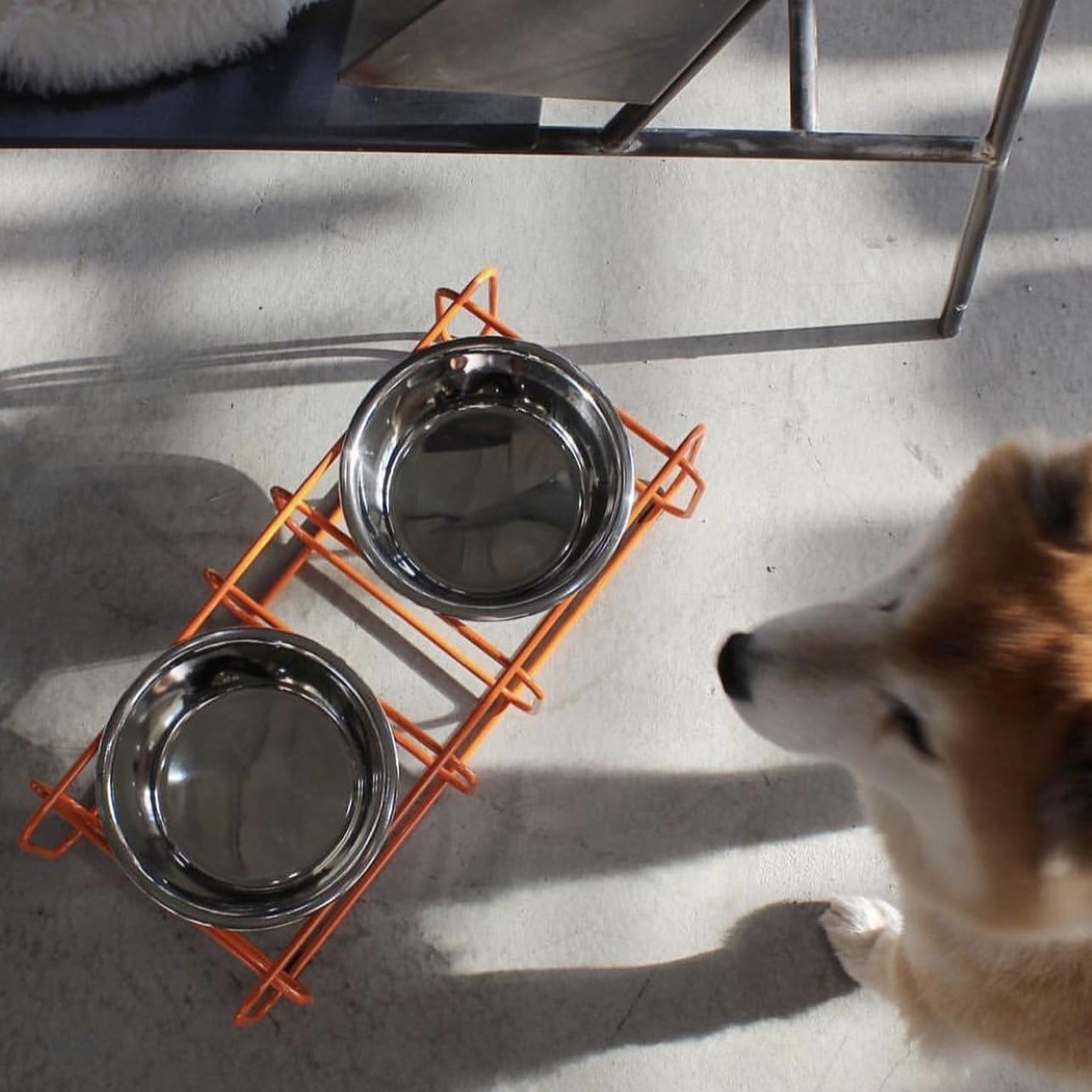 Doca Pet Elevated Dog Bowls Stand - 2 Stainless Steel Dishes, Non-Skid, Modern Design, Small, Orange Frame, Model WDS-OR-3CP